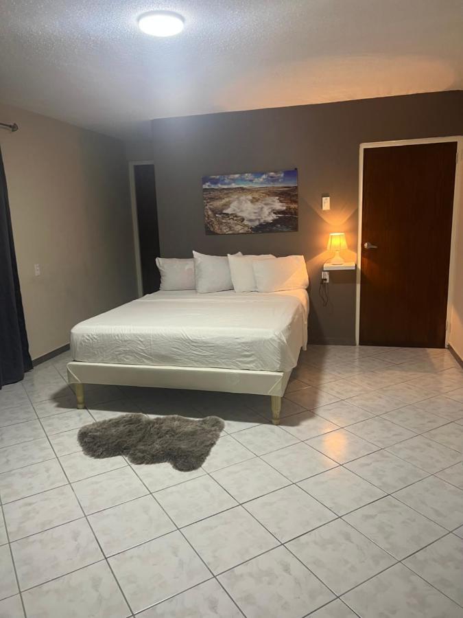 Cataleya Apartments Near Airport Willemstad Buitenkant foto